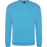 Sweatshirts - Sky Blue